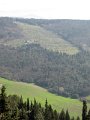 Fiesole - Parco di Montececeri-15